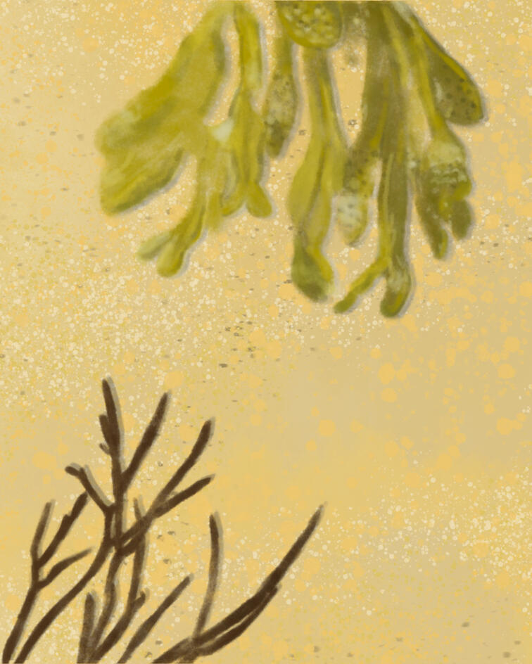 Untitled Untitled