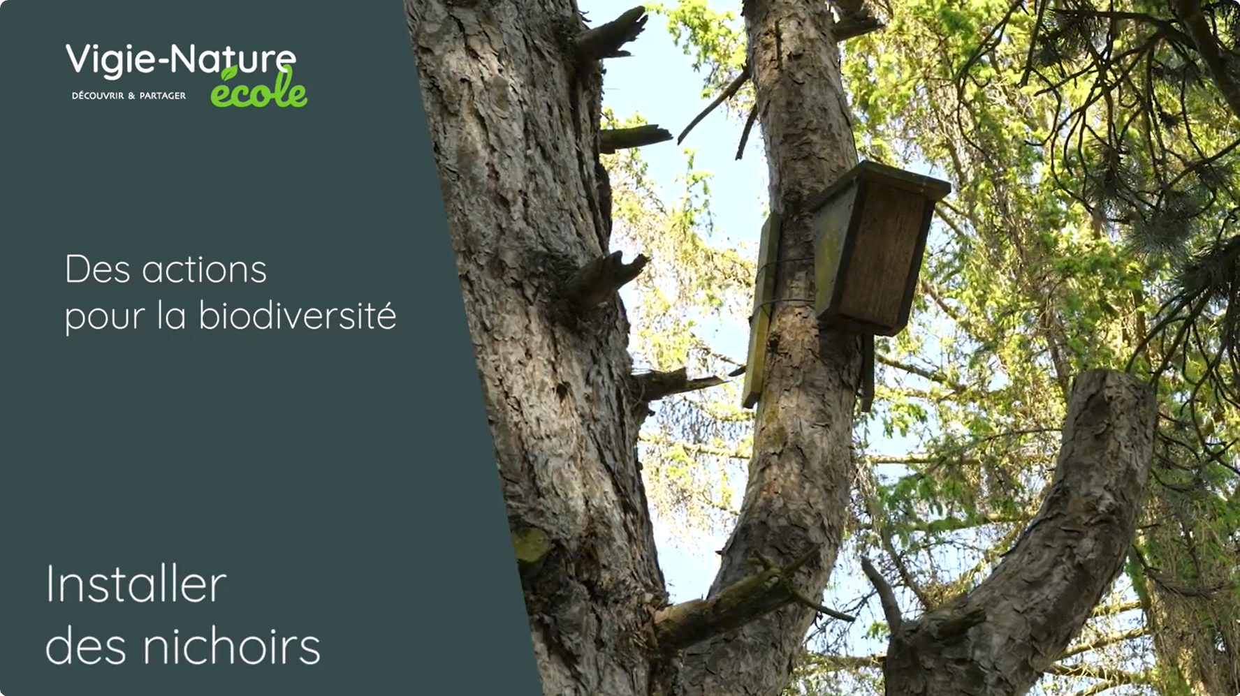 Des actions pour la biodiversité : Installer des nichoirs