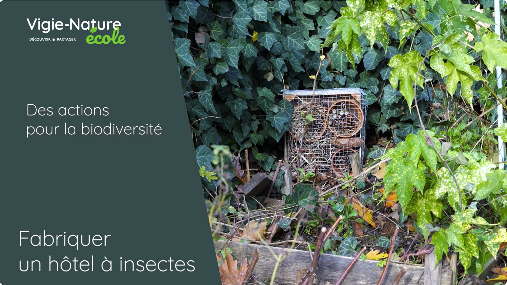 Des actions pour la biodiversité : Fabriquer un hôtel à insectes