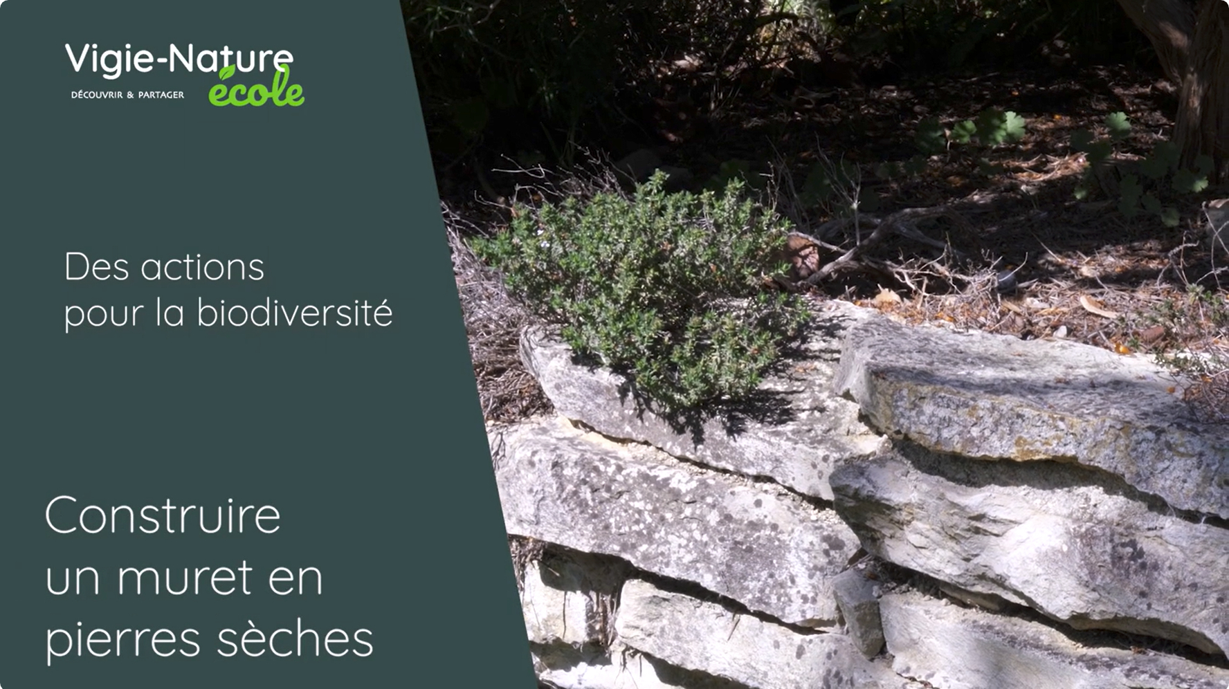 Des actions pour la biodiversité : installer une mangeoire