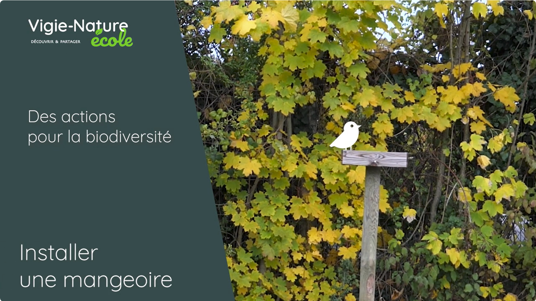 Des actions pour la biodiversité : installer une mangeoire